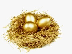 gold-egg-in-the-gold-nest-isolated-on-white_Gk3ua1wO