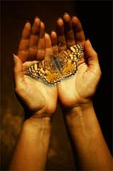 hands & butterfly